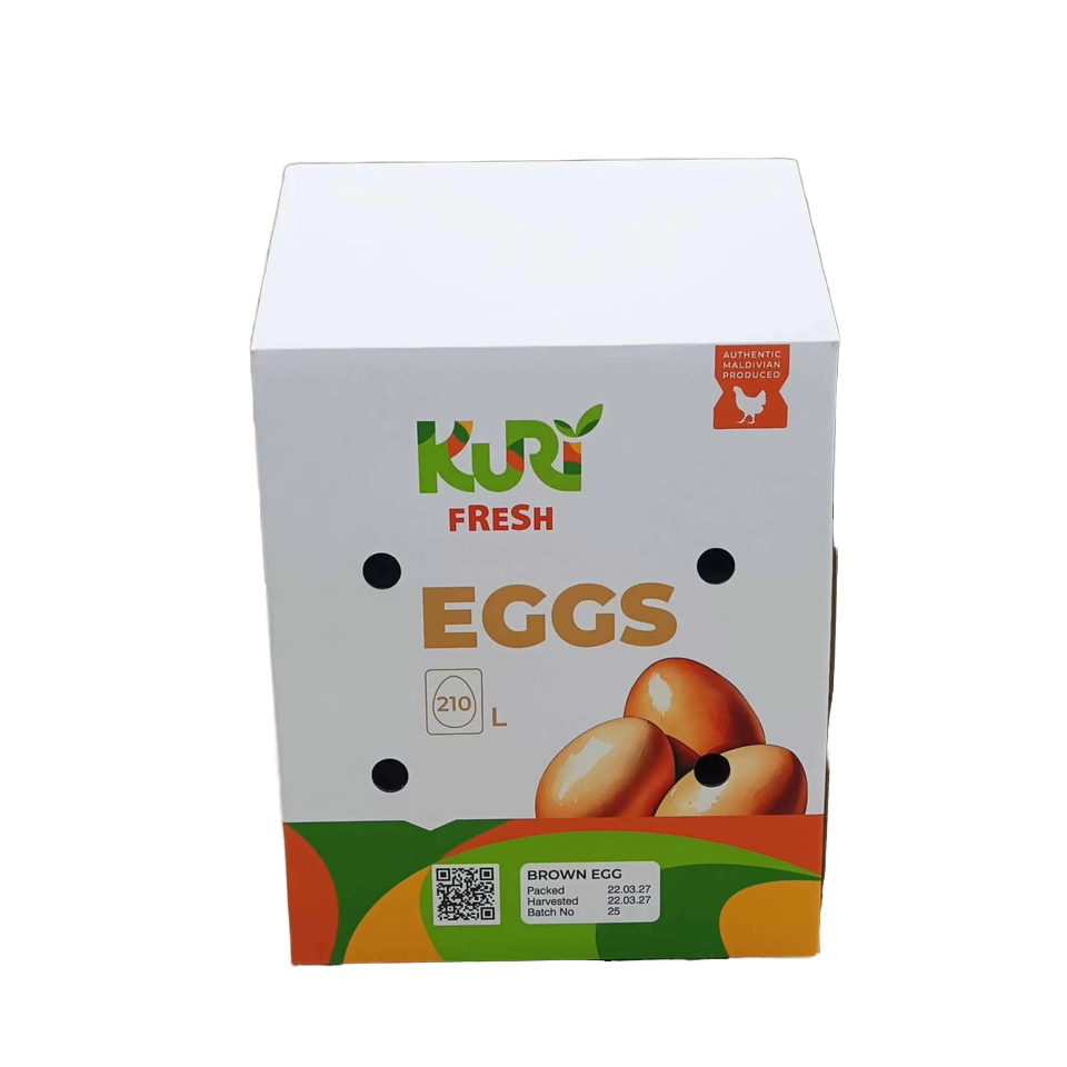 CMYK Printed Corrugated Egg Carton for Transportation